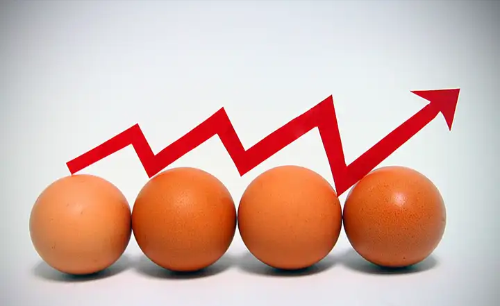 7月7日油价大跌,猪价跳水“去泡沫”,蛋价蓄势上涨,羊价反弹