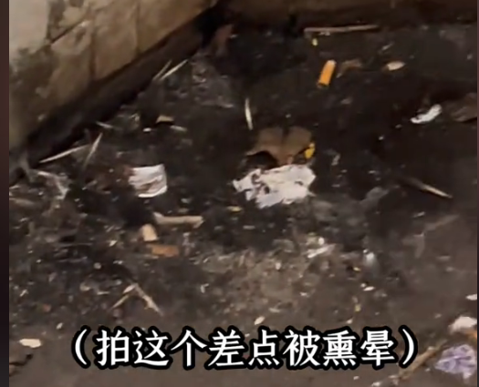 这谁尿得出来?露天便池成荷兰景点,网友:大庭广众之下我不敢掏