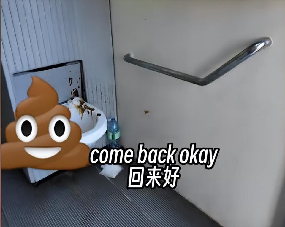 这谁尿得出来?露天便池成荷兰景点,网友:大庭广众之下我不敢掏