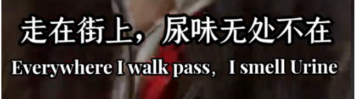 这谁尿得出来?露天便池成荷兰景点,网友:大庭广众之下我不敢掏