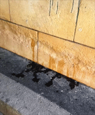 这谁尿得出来?露天便池成荷兰景点,网友:大庭广众之下我不敢掏