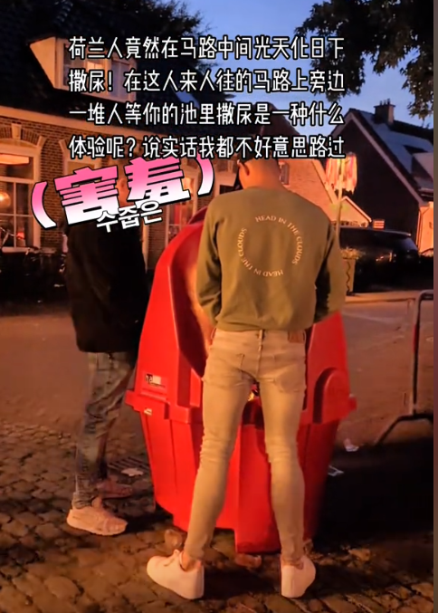 这谁尿得出来?露天便池成荷兰景点,网友:大庭广众之下我不敢掏