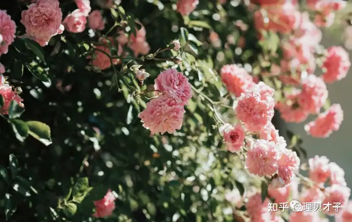 A股三大指数集体收涨,环保、油气股全天强势