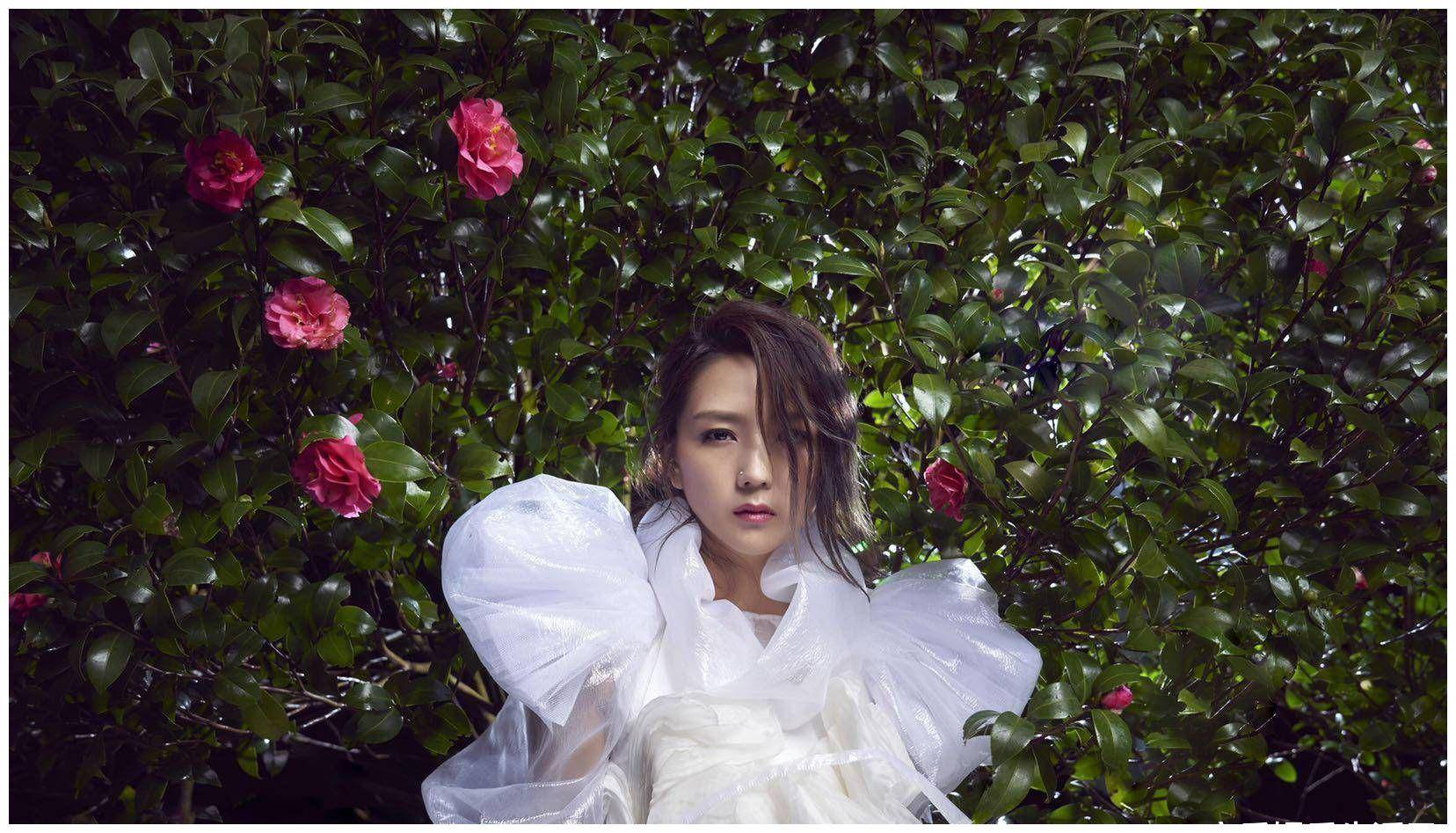 《乘风2024》二公新分组选曲,8个舞台,第二位姐姐退赛