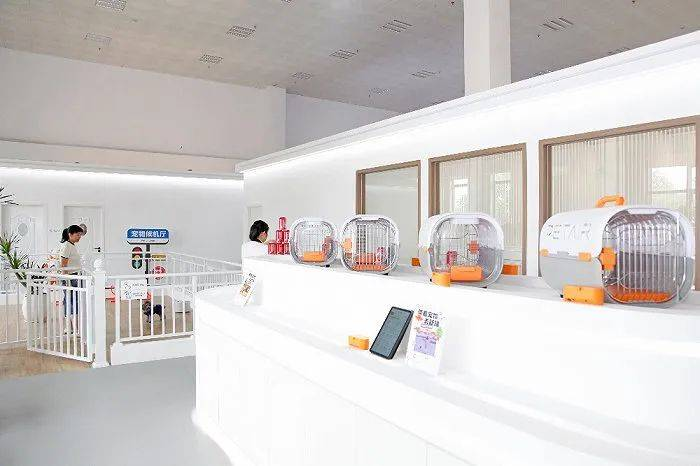 12306推出高铁宠物运输问卷,宠物有望上高铁了