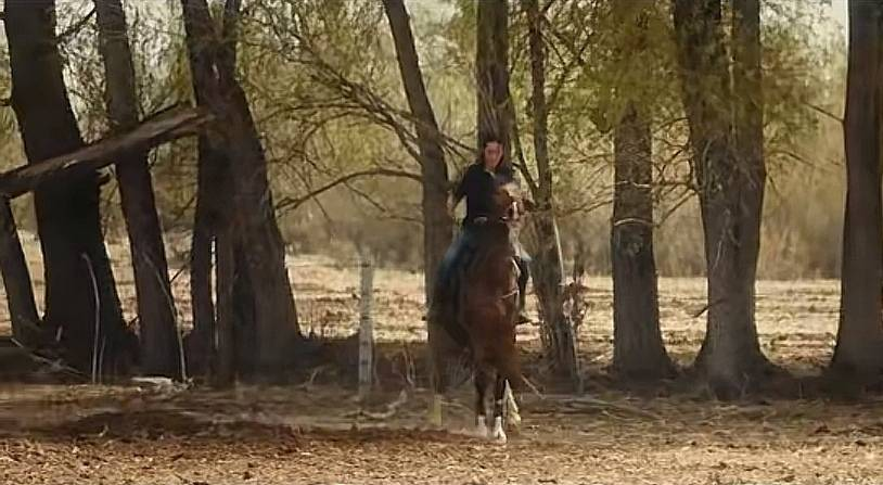 原创 央视开播1天,就全国收视第一,马伊琍令观众入坑,终于有剧可追了