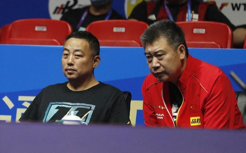 不能忍,陈梦为何怒骂观众?刘国梁该出手重罚,王曼昱举动感人