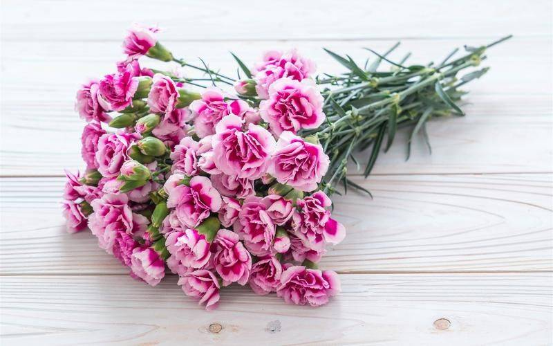 山药养生食谱!母亲节为妈妈做一顿美食!