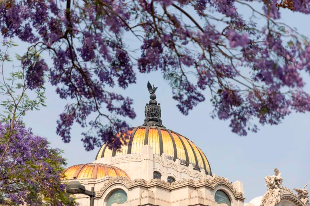 我国民航最长直飞国际客运航线开通