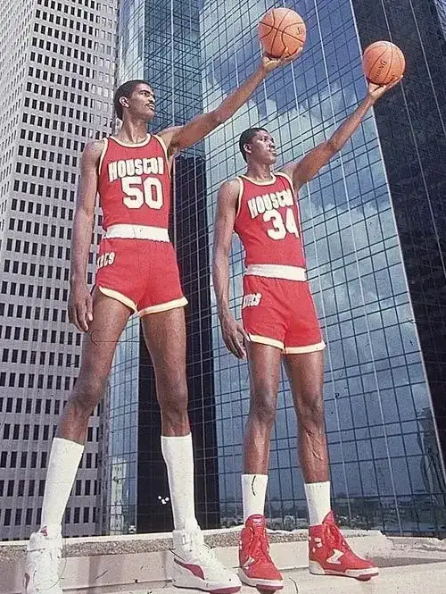 双塔有哪些构架?兼谈森林狼豪华双塔的前景