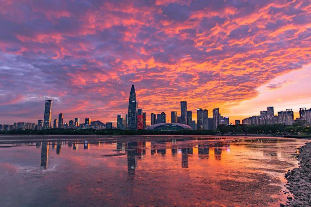 不出门就能拍到绝美晚霞!深圳这里最新发布