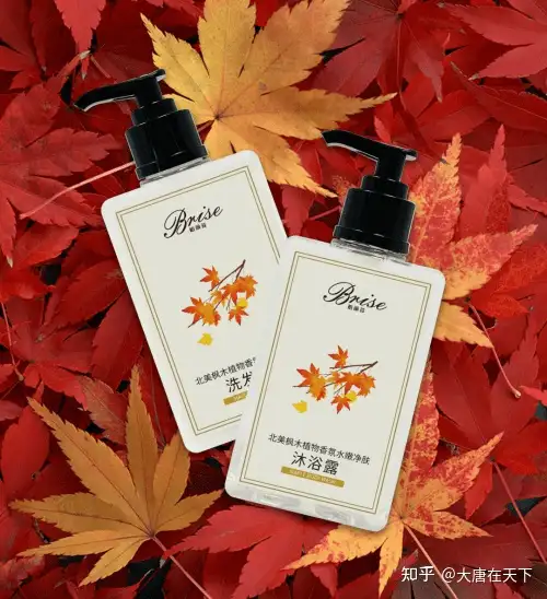 强者不凡|锦江之星荣膺第22届中国金马奖年度影响力品牌奖