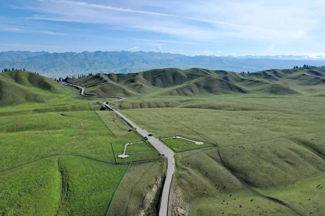 这个新疆最强草原,却在某书上毁誉参半!那拉提,到底值得不值