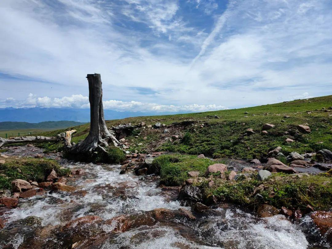 这个新疆最强草原,却在某书上毁誉参半!那拉提,到底值得不值