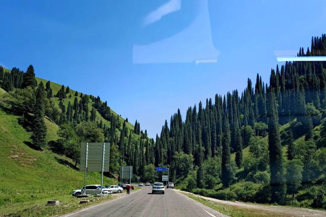 这个新疆最强草原,却在某书上毁誉参半!那拉提,到底值得不值