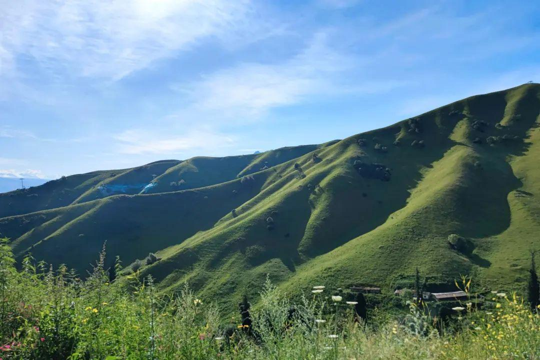 这个新疆最强草原,却在某书上毁誉参半!那拉提,到底值得不值