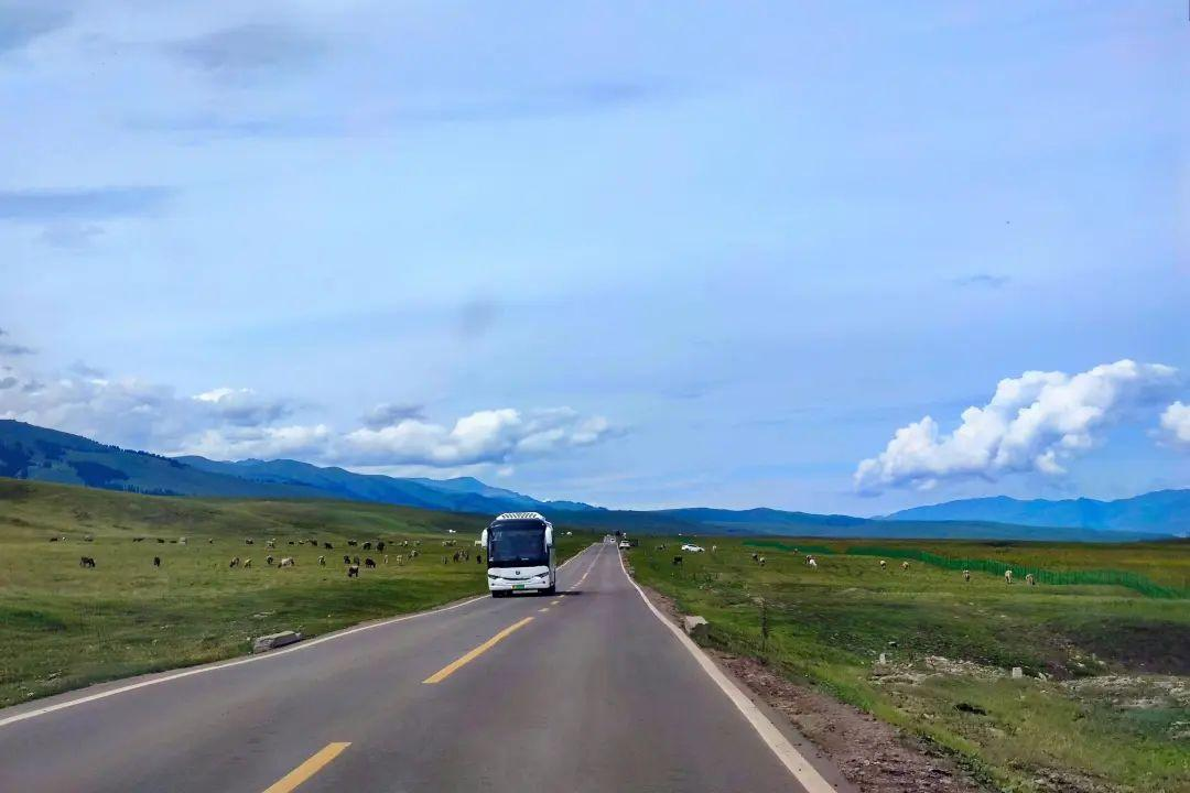 这个新疆最强草原,却在某书上毁誉参半!那拉提,到底值得不值