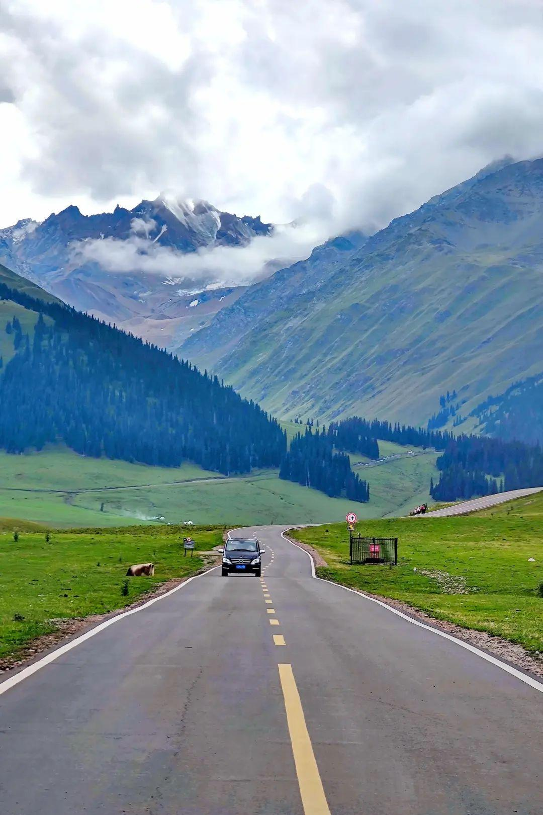 这个新疆最强草原,却在某书上毁誉参半!那拉提,到底值得不值