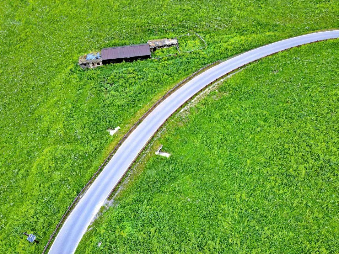 这个新疆最强草原,却在某书上毁誉参半!那拉提,到底值得不值