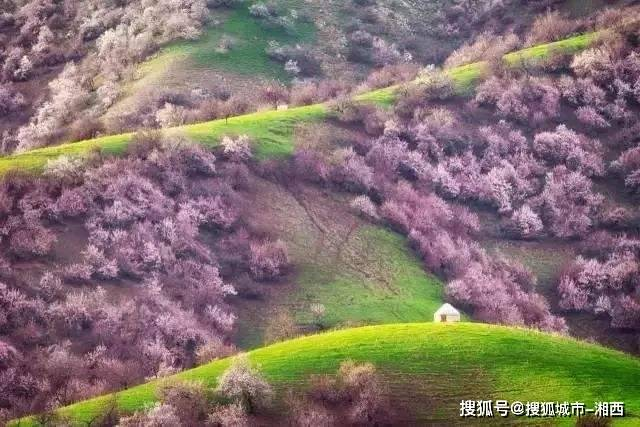去新疆那拉提需要带什么,新疆那拉提草原旅游攻略