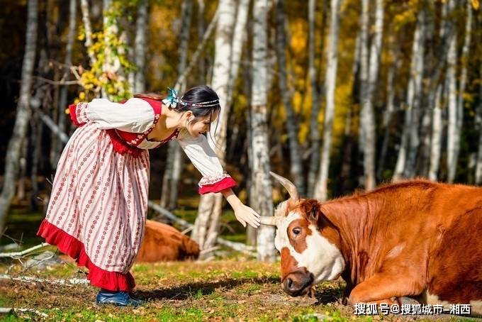 去新疆那拉提需要带什么,新疆那拉提草原旅游攻略