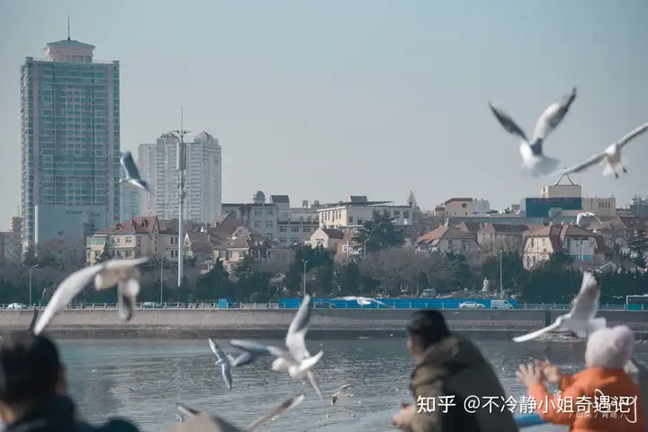 你所在之地有哪些治愈人心的美景?