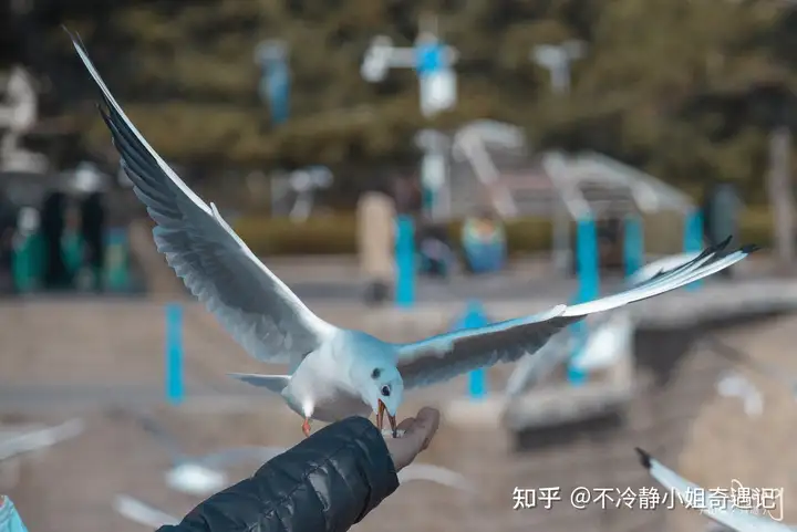 你所在之地有哪些治愈人心的美景?