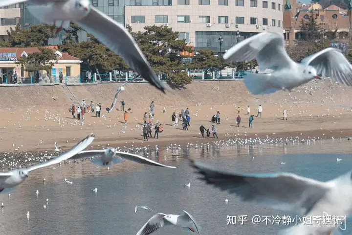 你所在之地有哪些治愈人心的美景?