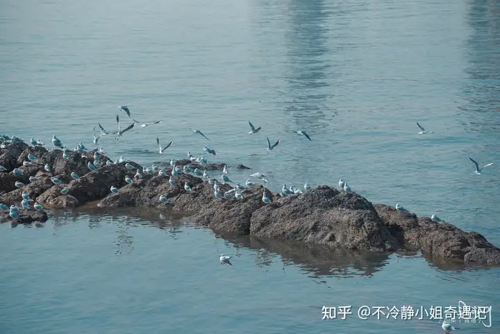 你所在之地有哪些治愈人心的美景?