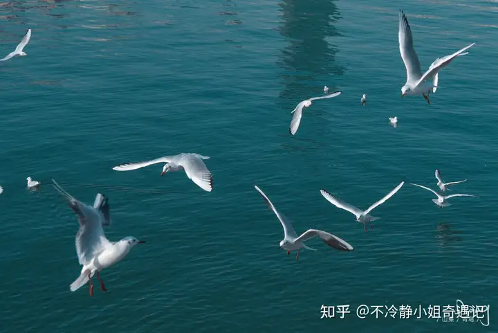 你所在之地有哪些治愈人心的美景?