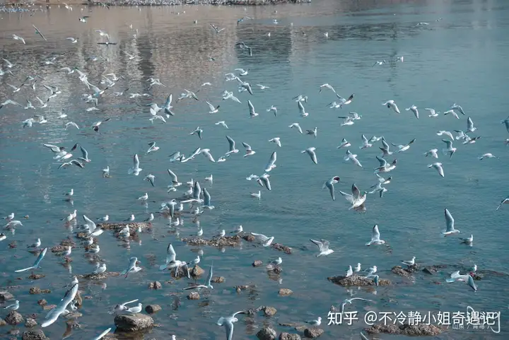 你所在之地有哪些治愈人心的美景?