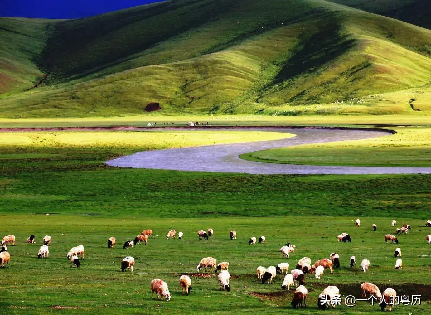 新疆是一个美丽而独特的地方,拥有壮丽的自然风光