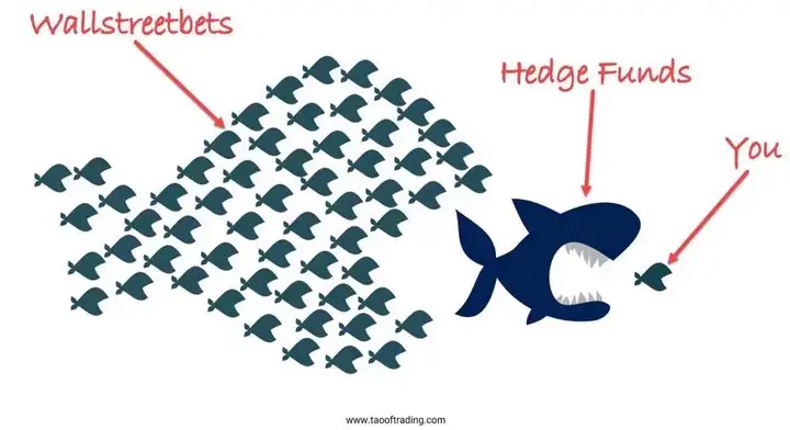 2021年的第一场暴跌