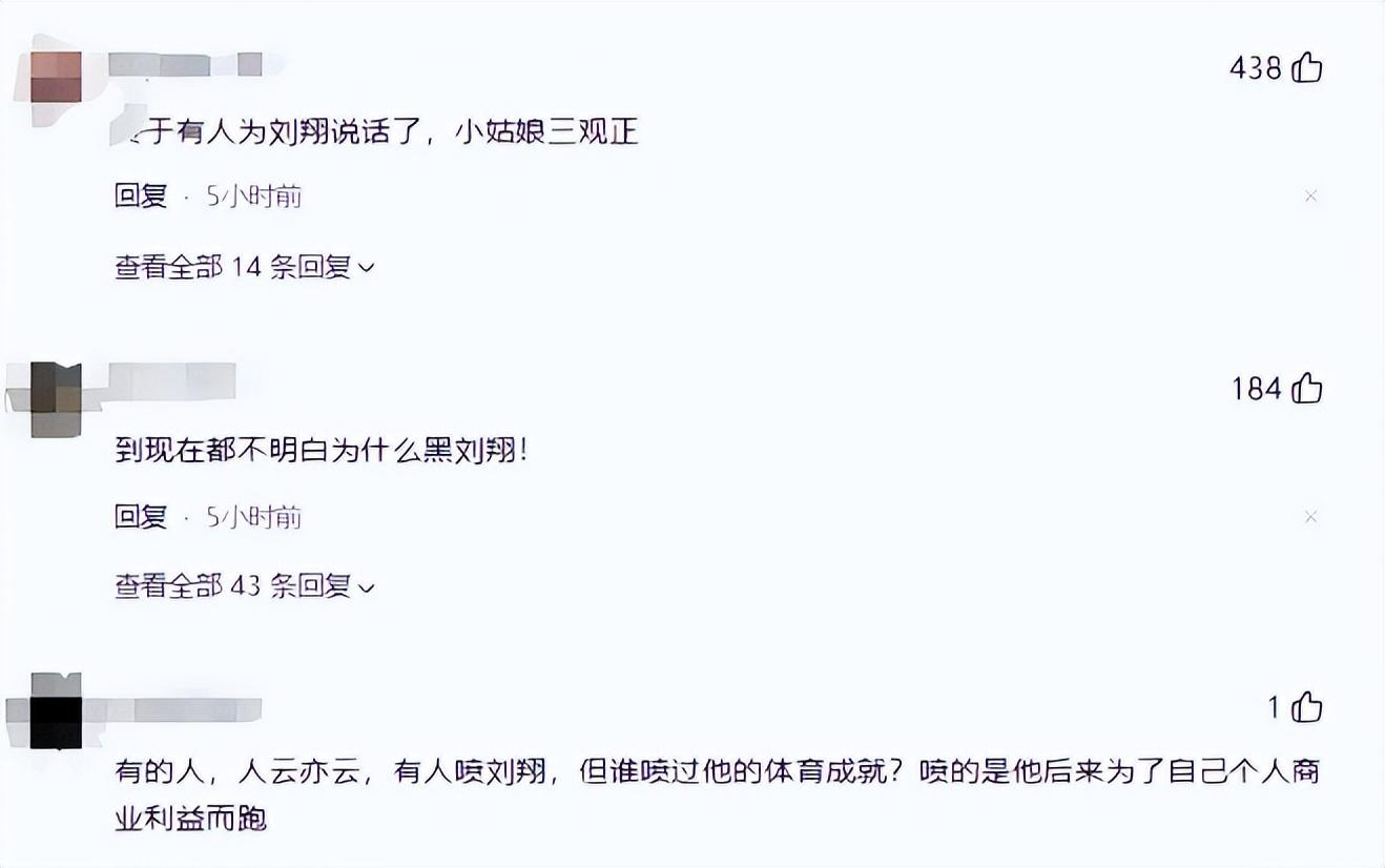 泪目!吴艳妮心疼刘翔当年被网暴:奥运冠军被骂,我只是全国冠军