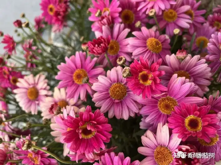 女性春季吃出健康来!