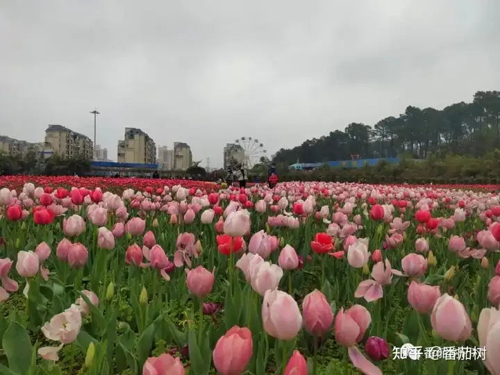 女性春季吃出健康来!