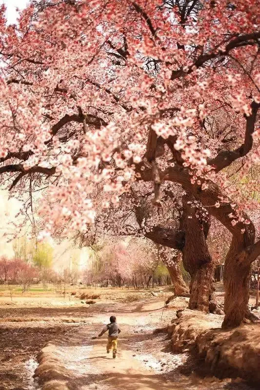 新疆尚未被开发的6大原生态景之地!简直美的无法无天...