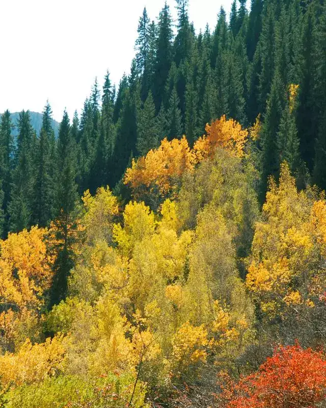 新疆尚未被开发的6大原生态景之地!简直美的无法无天...