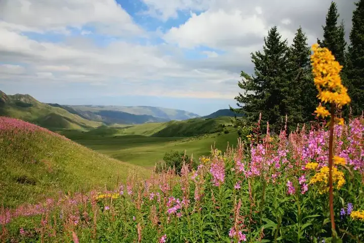 新疆尚未被开发的6大原生态景之地!简直美的无法无天...