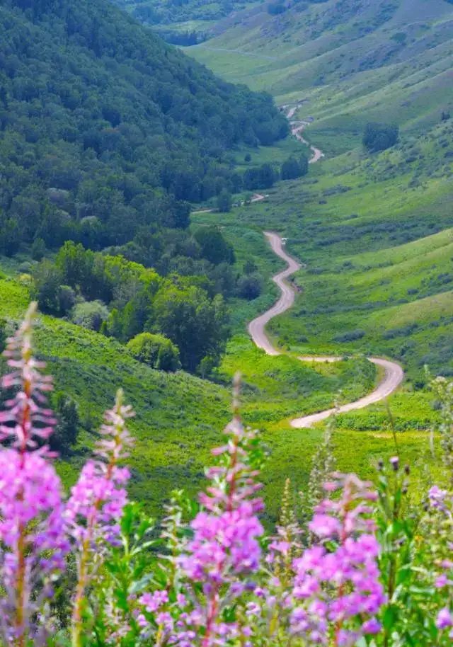 新疆尚未被开发的6大原生态景之地!简直美的无法无天...