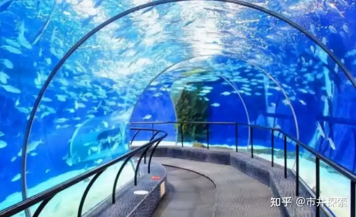 穿越8级地震区,中国打造世界首列海底高铁,外媒:世界级难题