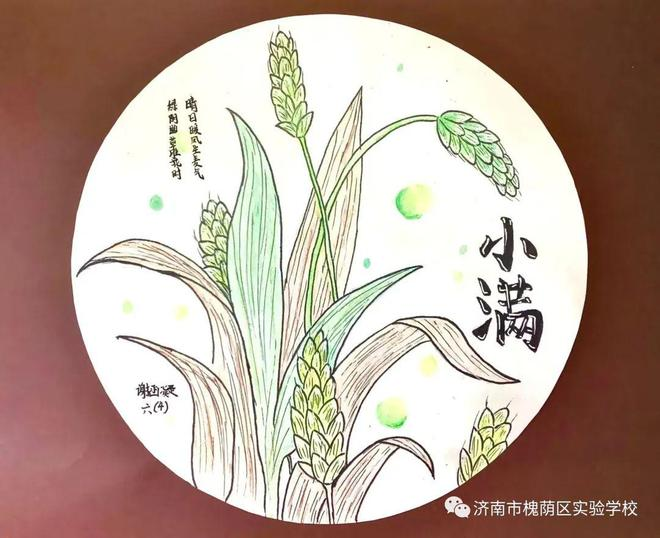 济南市槐荫区实验学校开展小满节气主题教育活动