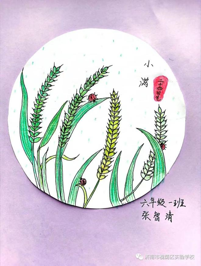 济南市槐荫区实验学校开展小满节气主题教育活动