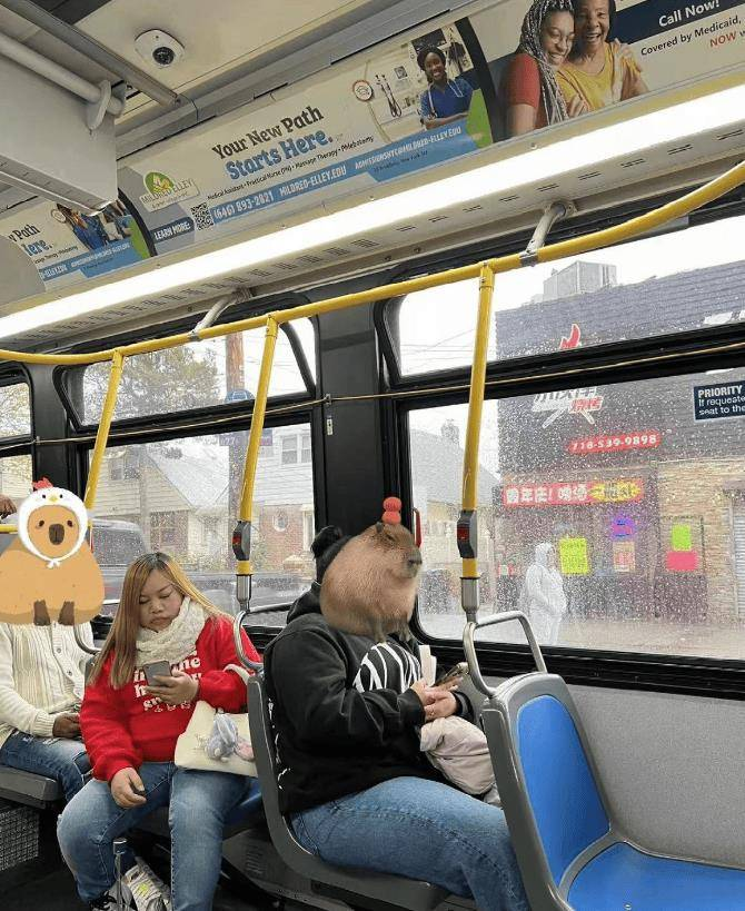 网红凤姐美国被偶遇,坐公交车生活节俭,身材臃肿体重近200斤