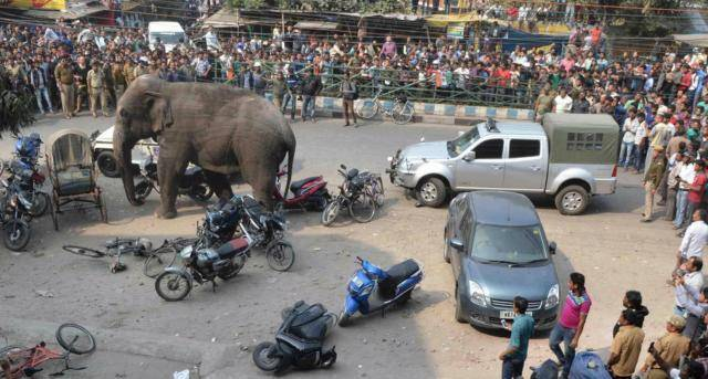 原创 美国一直担心被威胁到地位,为何印度崛起,美国不打压?