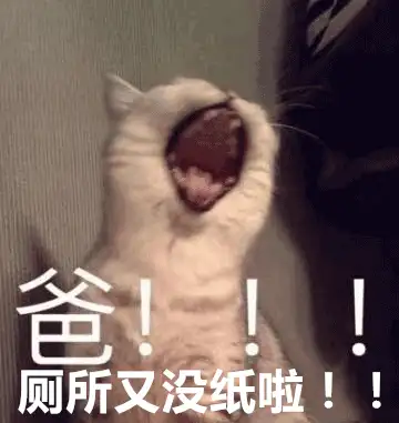 这次斗殴,莫迪被自己人耍得团团转!