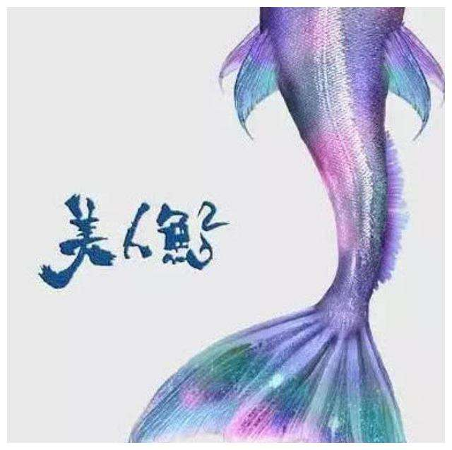 周润发周星驰刘德华同框,这张30年前的老照片太珍贵了