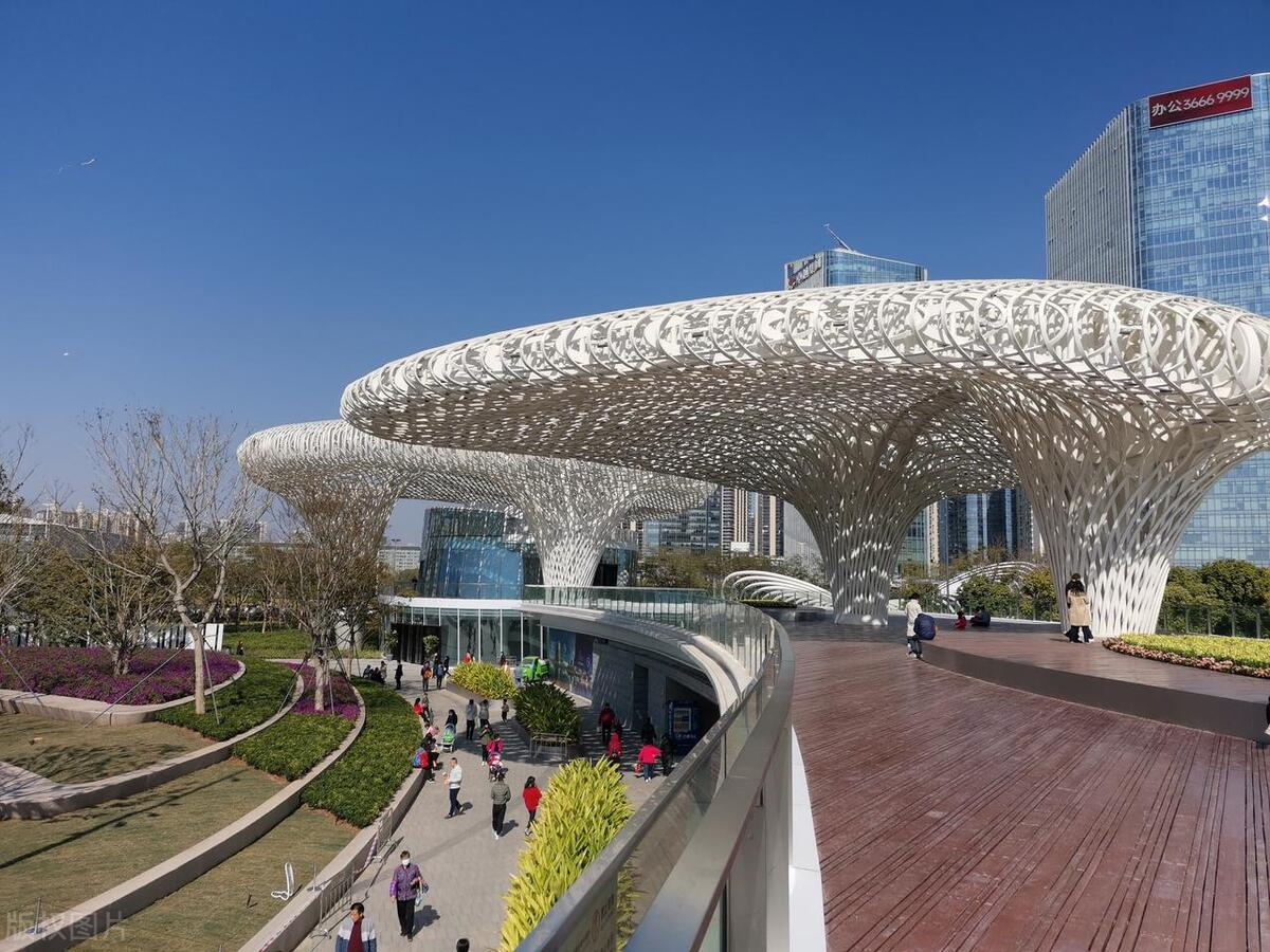 五一深圳免费玩乐指南:不花一分钱,畅游城市风情!