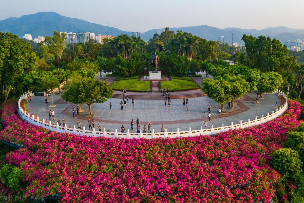 五一深圳免费玩乐指南:不花一分钱,畅游城市风情!