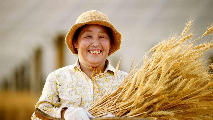 麦收时节,“风光”无限!